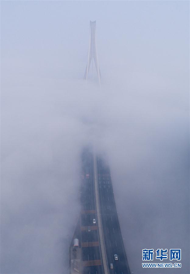 人間仙境！武漢現大霧天氣 高架橋宛如天路(組圖)