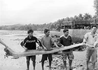 菲律賓震后海灘驚現奇異生物