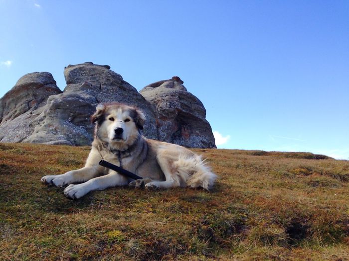 先忘掉單反 這些美照竟然是用手機拍的[組圖]