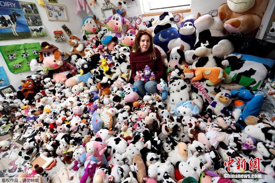 法國模特花7年收藏1679個(gè)奶牛玩偶