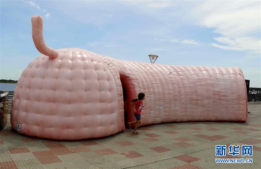 人造結(jié)腸示健康（圖）