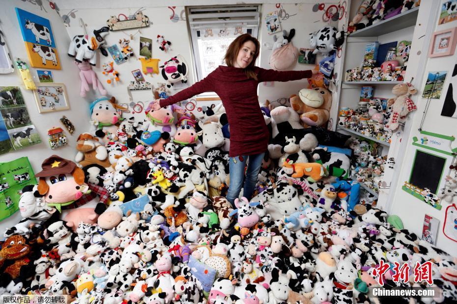 法國女?？釔凼占媾?與上千奶牛玩偶“同吃同住”