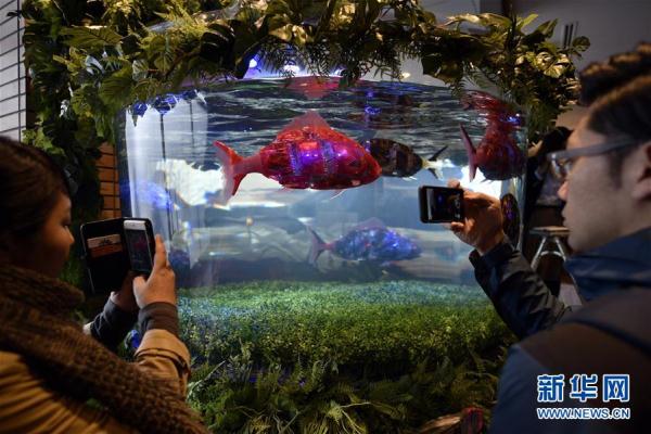 恐龍機器人是服務員！ 日本現“奇異賓館”（組圖）