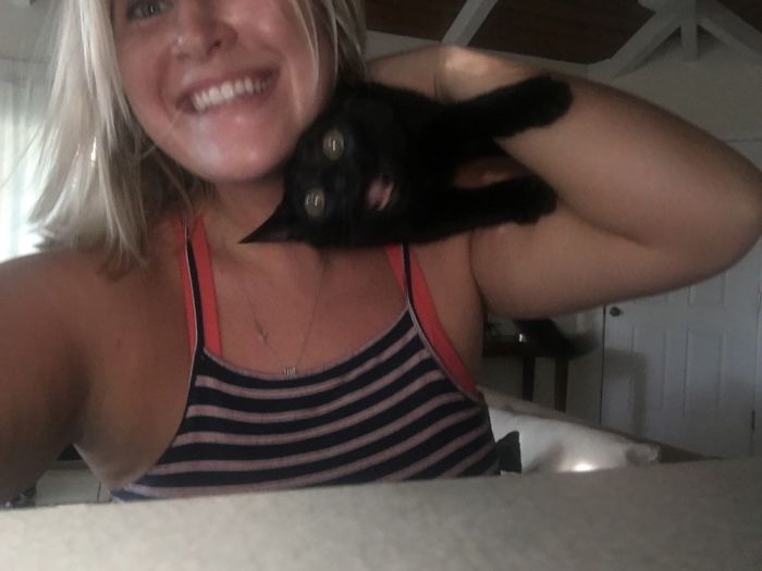 喜歡捉弄愛寵嗎？看看這些奇葩是怎么玩的