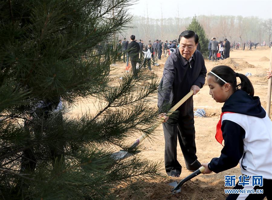 黨和國家領導人參加首都義務植樹活動