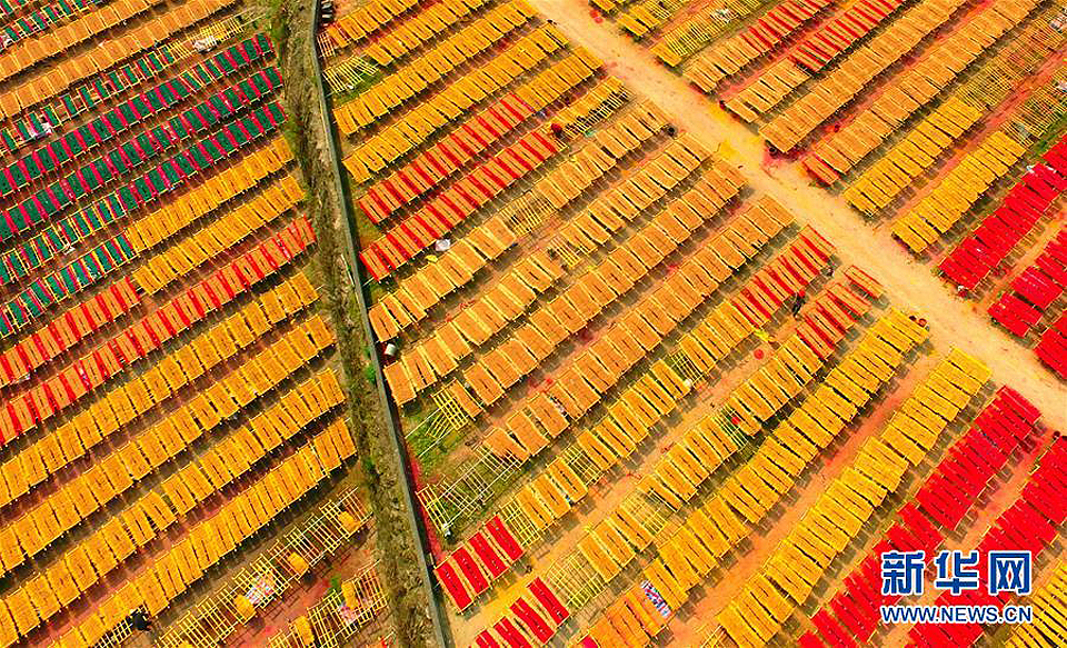 堅(jiān)守300多年的阿拉伯后裔制香人