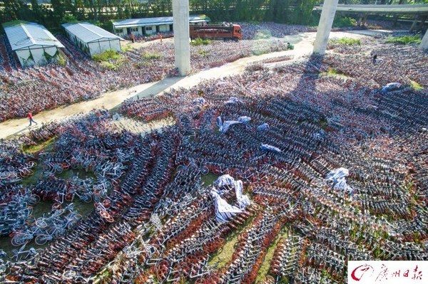 航拍廣州共享單車中轉站　密密麻麻如彈簧