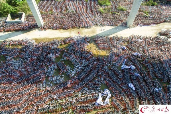 航拍廣州共享單車中轉站　密密麻麻如彈簧