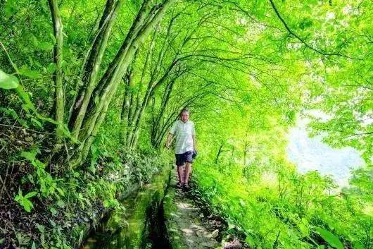 解碼中國丨這位當(dāng)代“愚公”在懸崖峭壁上鑿出7千米水渠，現(xiàn)實比神話傳說更震撼！