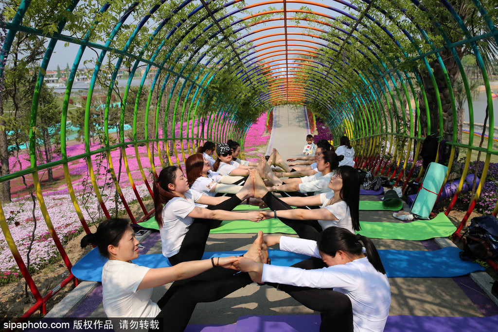 江蘇瑜伽愛好者花海林間展現(xiàn)運(yùn)動(dòng)之美 愉悅身心成靚麗風(fēng)景