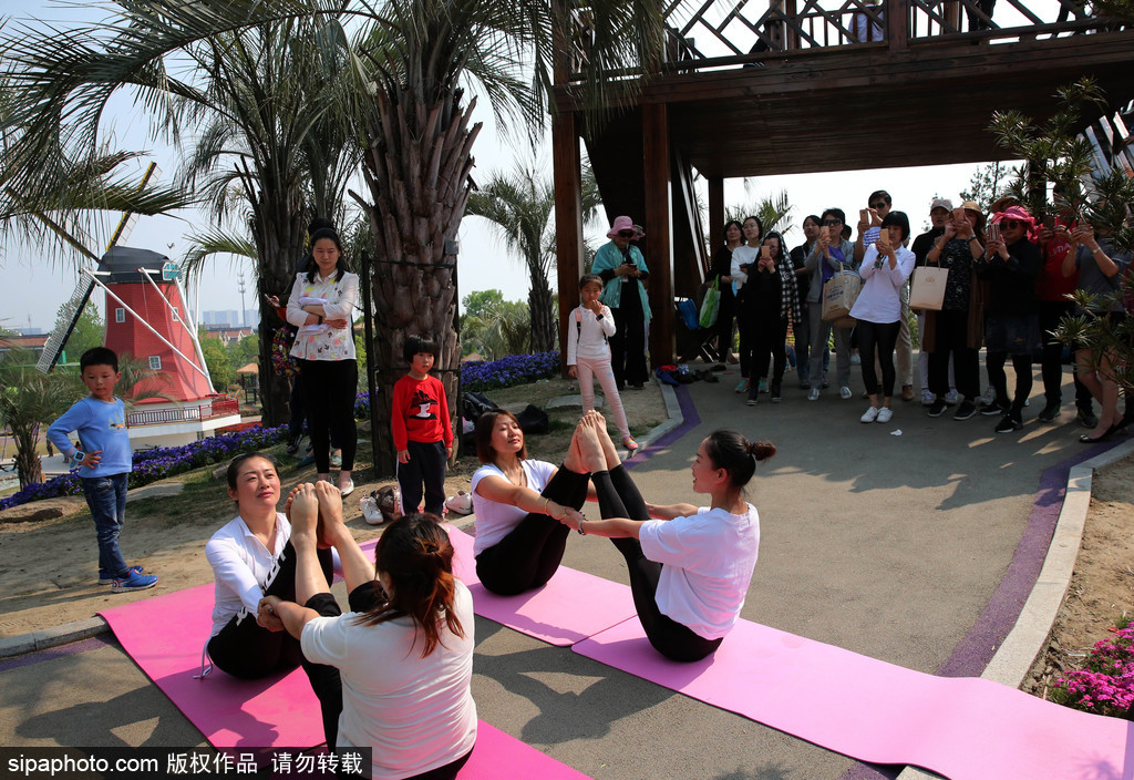 江蘇瑜伽愛好者花海林間展現運動之美 愉悅身心成靚麗風景