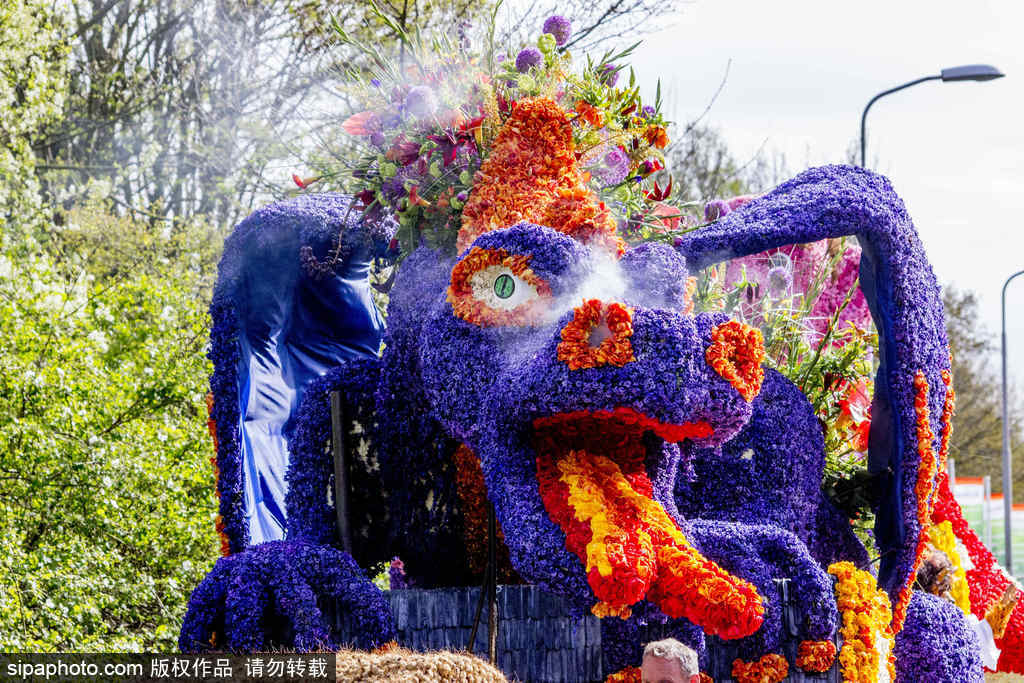 荷蘭小鎮利瑟迎來花車游行活動 鮮艷亮麗十分奪目