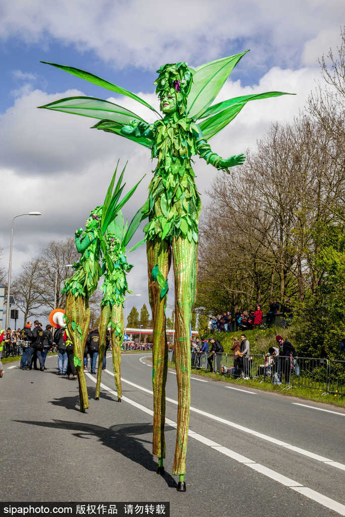 荷蘭小鎮(zhèn)利瑟迎來花車游行活動 鮮艷亮麗十分奪目