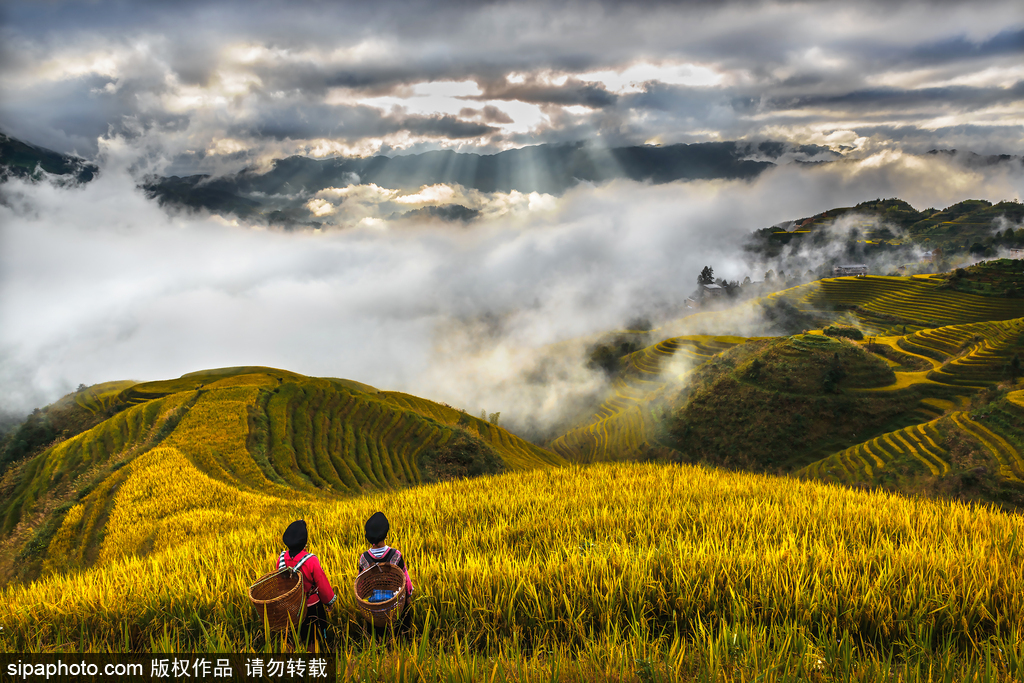 五一小長假又來了 盤點國內短期游好去處