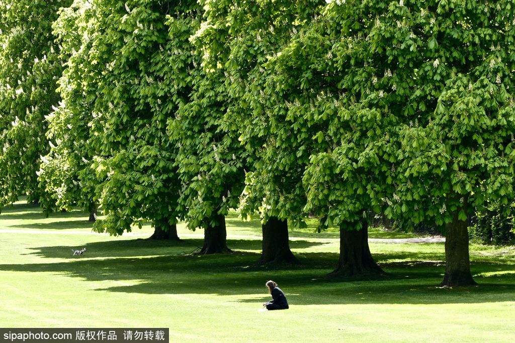 走進如畫英倫莊園 感受午后明媚春光