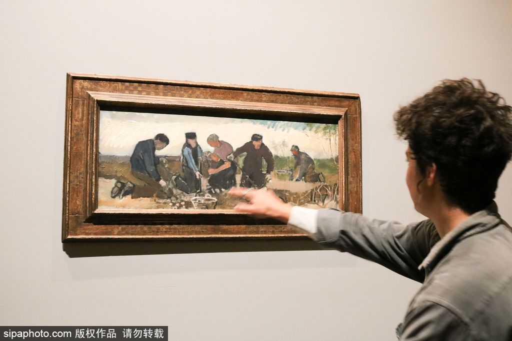 全球獨(dú)家！世界上首個(gè)梵高個(gè)人作品展在墨爾本舉辦