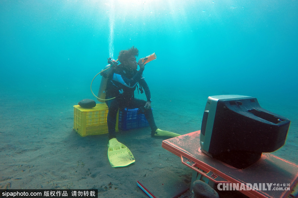 拼的就是創意 盤點水下世界趣聞不斷