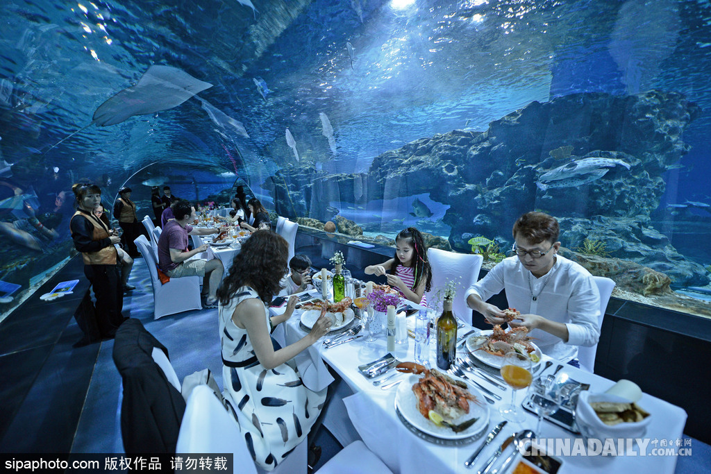 拼的就是創意 盤點水下世界趣聞不斷