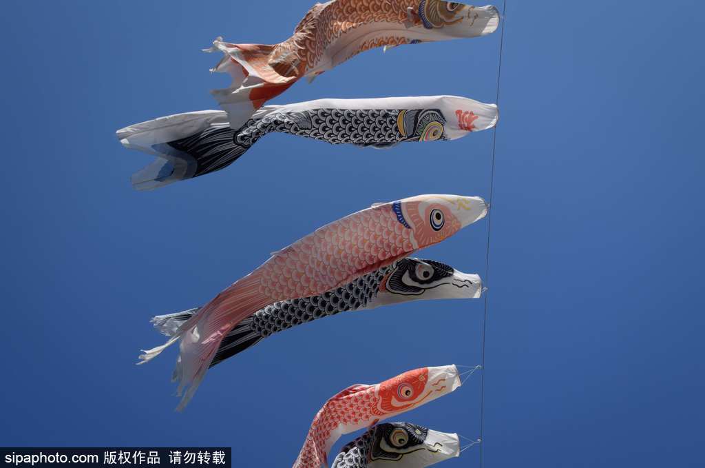 日本東京街頭鯉魚旗飄揚 寄托祝福慶祝男孩節