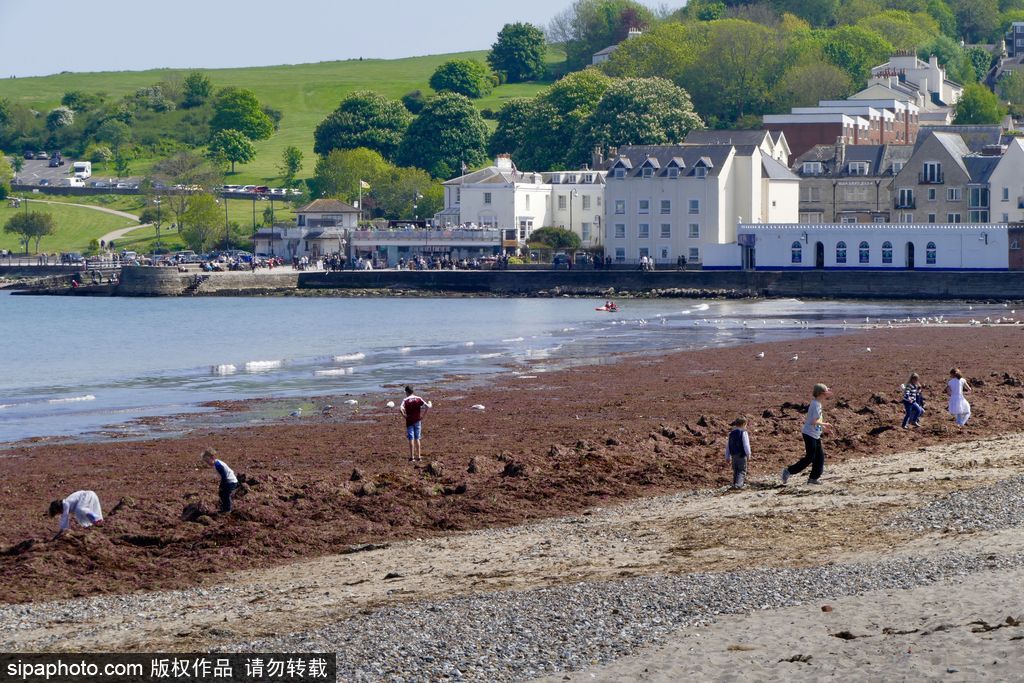 英國多塞特海邊落日 日光昏黃寧靜絕美