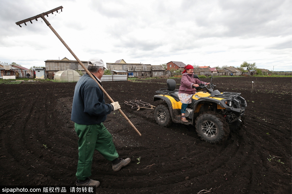 厲害了！俄羅斯老人開全地形車犁地超拉風