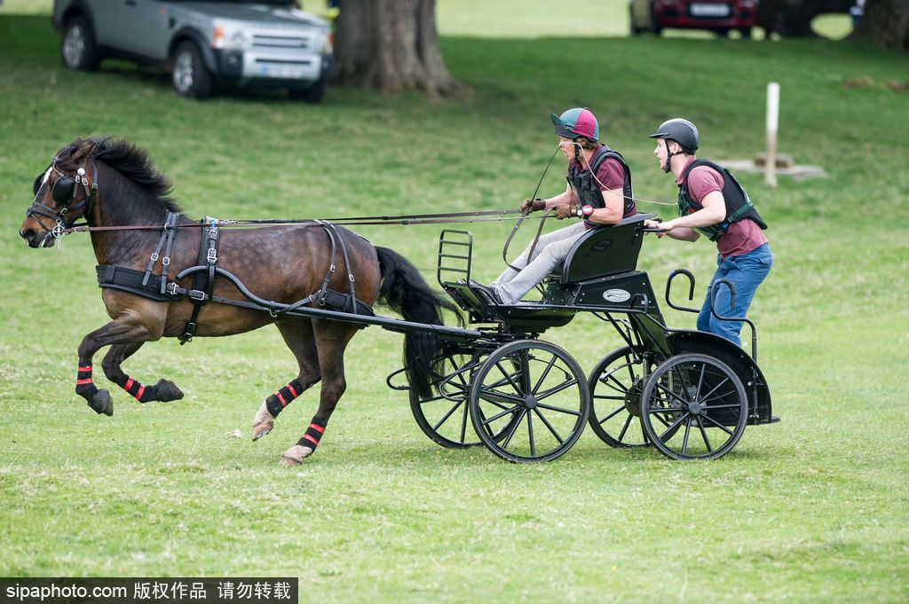 英國霍普頓四輪馬車賽激烈上演 菲利普親王坐車中悠閑觀賽