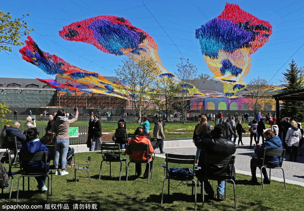 如墜凡間 俄羅斯藝術家創作“火鳥”降落傘織物藝術品