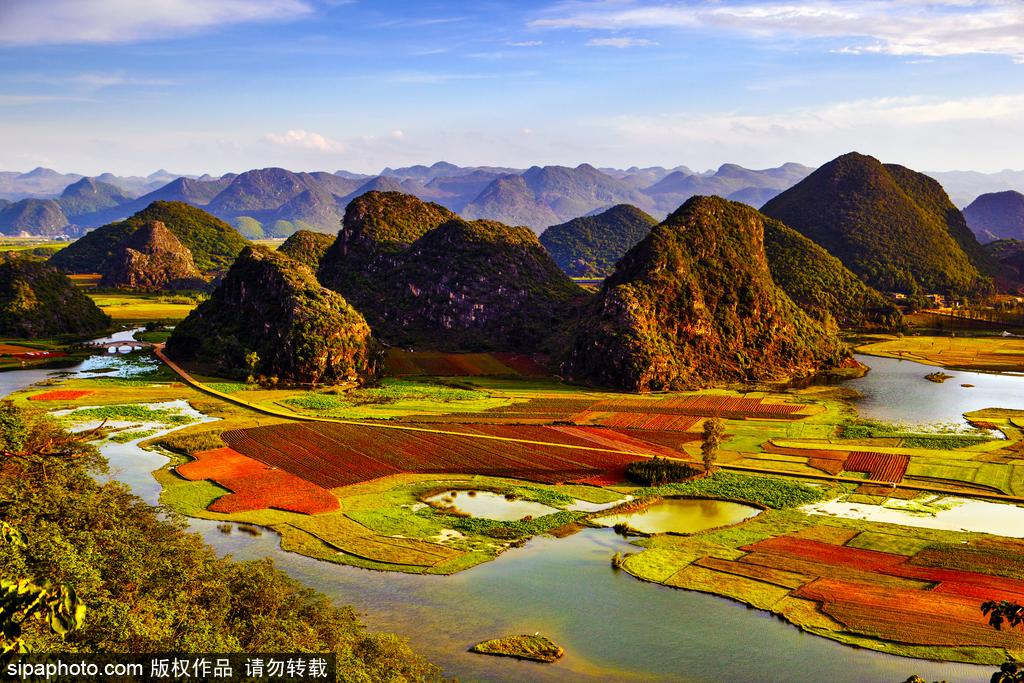 世界環境日 盤點國內絕美濕地風光