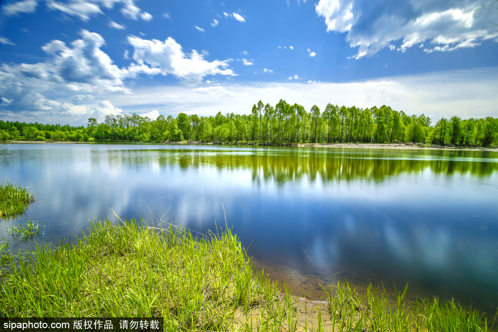 世界環(huán)境日 盤點國內(nèi)絕美濕地風(fēng)光