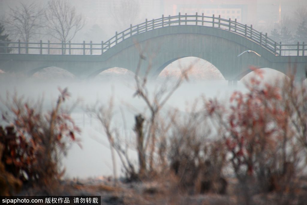 世界環境日 盤點國內絕美濕地風光