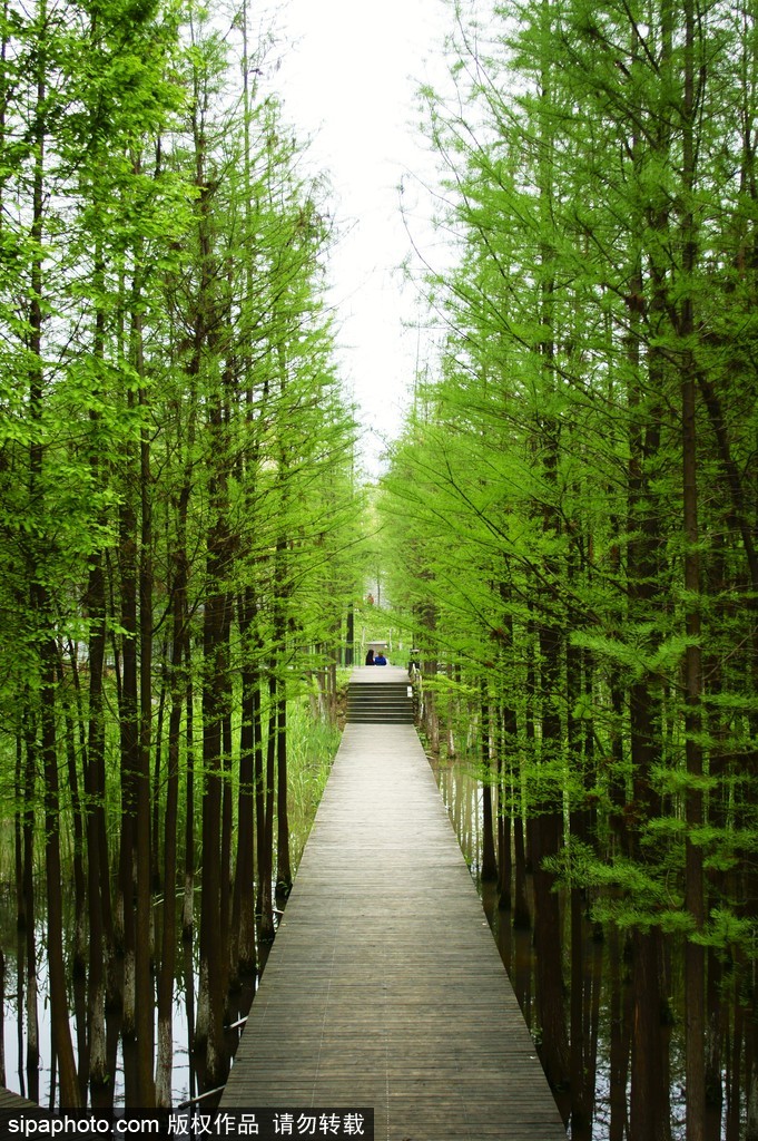 世界環(huán)境日 盤(pán)點(diǎn)國(guó)內(nèi)絕美濕地風(fēng)光