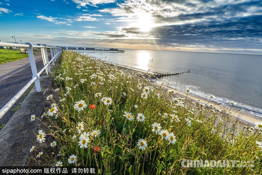 美到心坎里 英國索思沃爾德海邊風光
