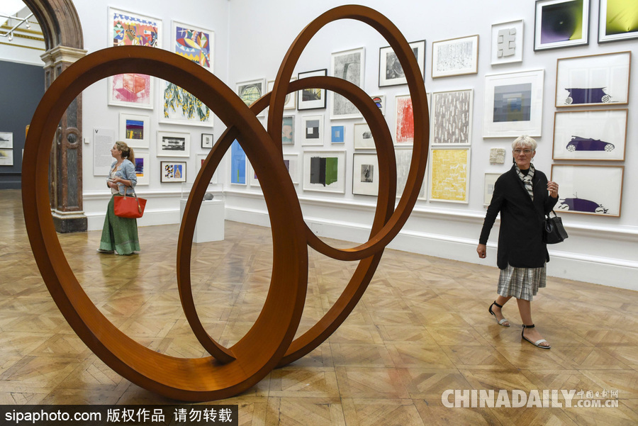 英國皇家學(xué)會2017夏季科學(xué)展 用藝術(shù)展現(xiàn)科技