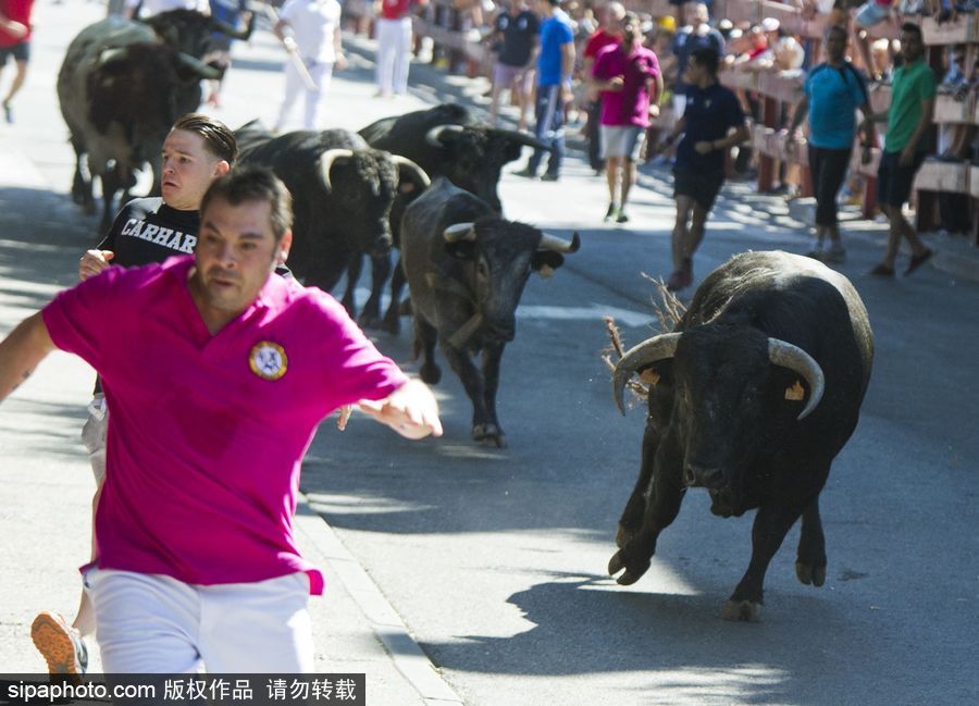 西班牙托雷洪市舉行奔牛節(jié)活動 眾壯漢遭公牛追逐落荒而逃