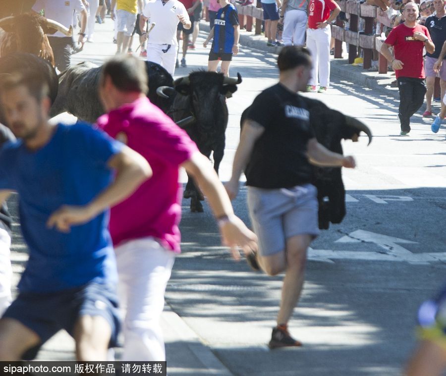 西班牙托雷洪市舉行奔牛節(jié)活動(dòng) 眾壯漢遭公牛追逐落荒而逃