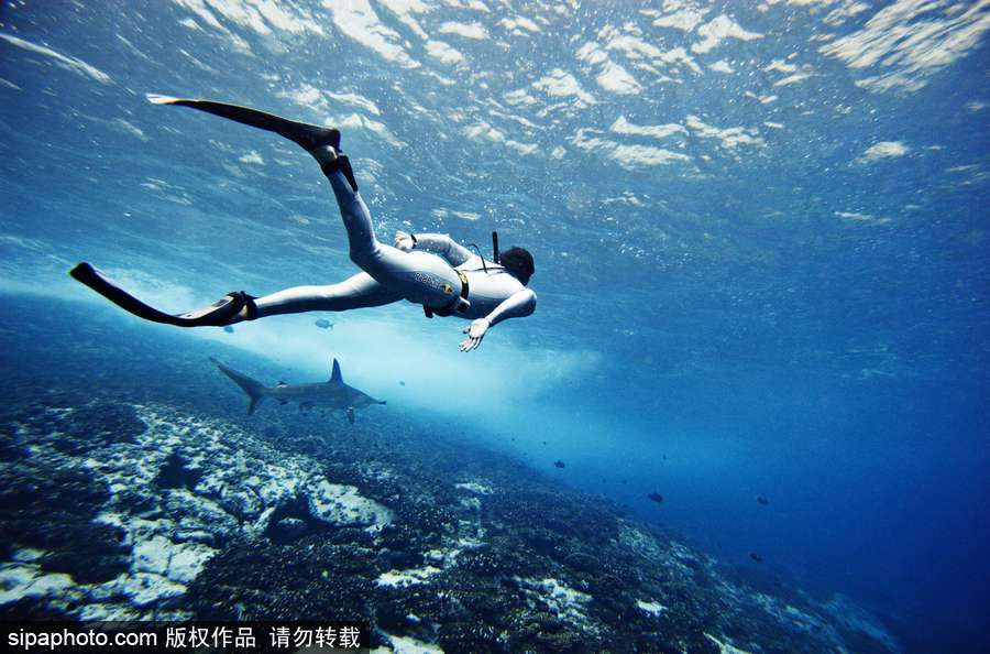 蔚藍(lán)國度 帶你領(lǐng)略神秘未知的海洋魅麗