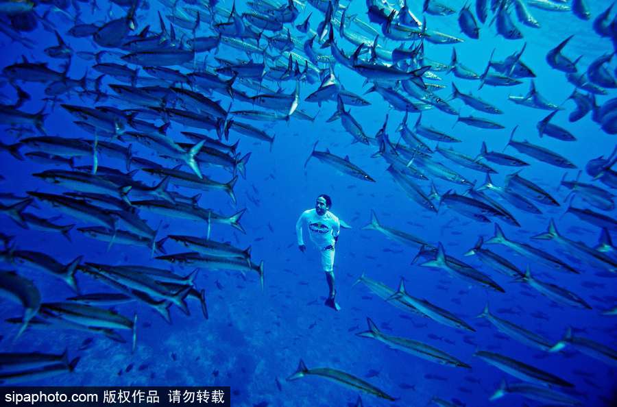 蔚藍國度 帶你領略神秘未知的海洋魅麗