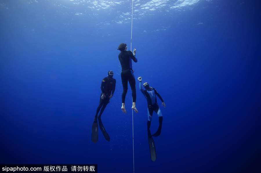 蔚藍國度 帶你領略神秘未知的海洋魅麗