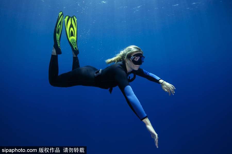 蔚藍國度 帶你領略神秘未知的海洋魅麗