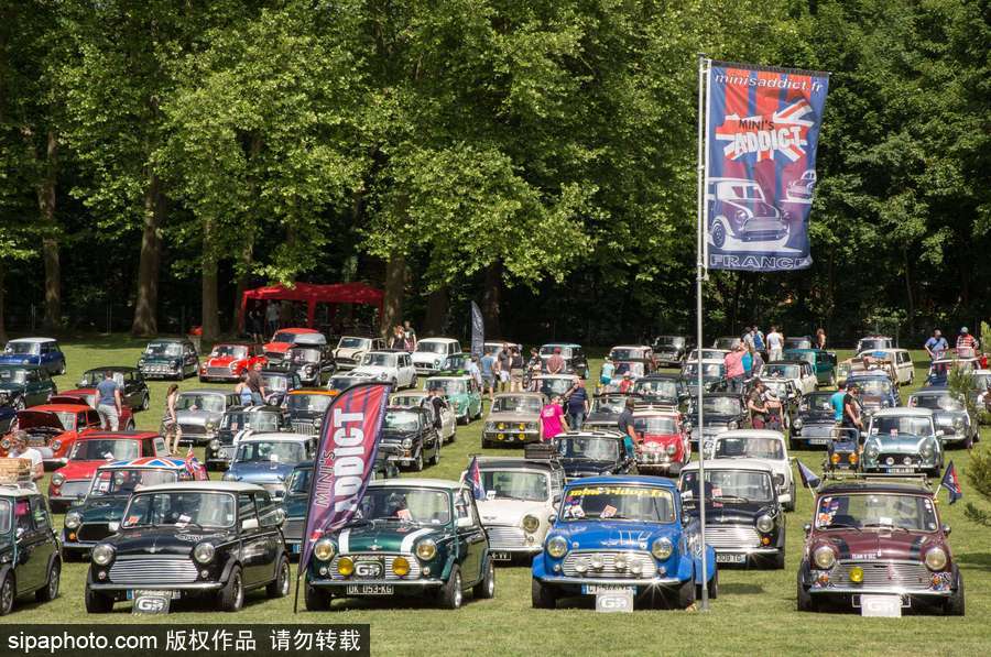 不老的經典 法國舉行迷你車集會充滿懷舊復古氣息