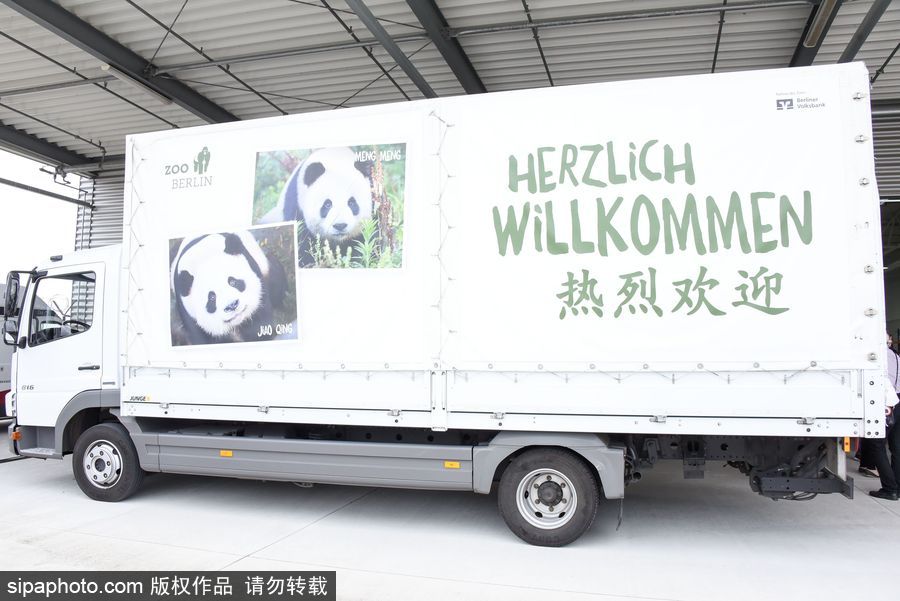 中國大熊貓“夢夢”“嬌慶”抵達(dá)德國柏林 時(shí)隔五年德民眾再迎大熊貓