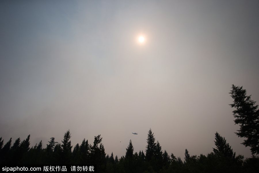 加拿大卑詩省山火蔓延 近7000人被疏散全省進(jìn)入緊急狀態(tài)