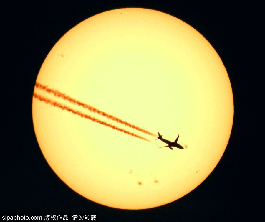 人類月球日 盤點地球視角下的明月當空