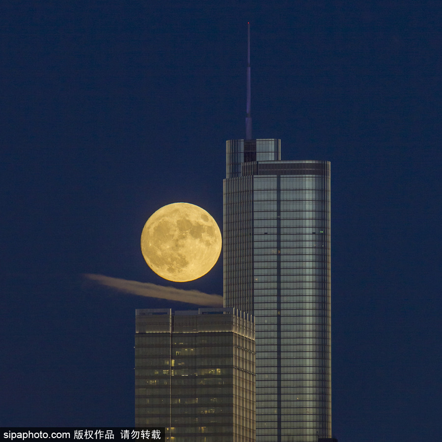 人類月球日 盤點地球視角下的明月當空
