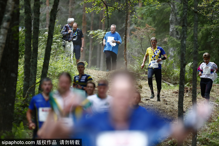 瑞典五日定向越野賽精彩開幕 男女老少齊上陣挑戰耐力極限