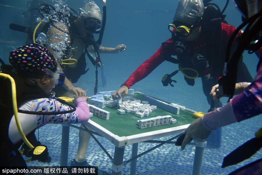 Word天！麻將或成為2022年冬奧會表演項目 中國國粹風靡全球歪果仁也愛玩