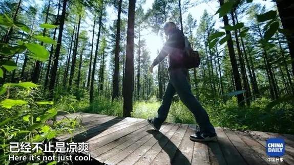 英國小哥到河北塞罕壩避暑，竟意外收獲了一個美麗的故事丨好運中國