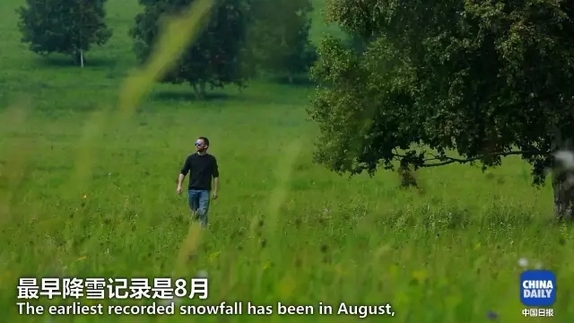 英國小哥到河北塞罕壩避暑，竟意外收獲了一個美麗的故事丨好運中國