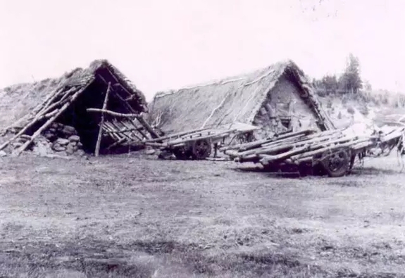 英國小哥到河北塞罕壩避暑，竟意外收獲了一個美麗的故事丨好運中國