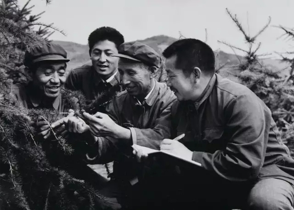 英國小哥到河北塞罕壩避暑，竟意外收獲了一個美麗的故事丨好運中國